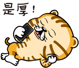 Cute little tiger sticker #13164303