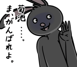BlackRabbit(kikuchi) sticker #13164589