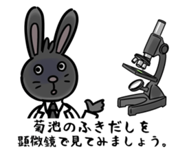 BlackRabbit(kikuchi) sticker #13164599