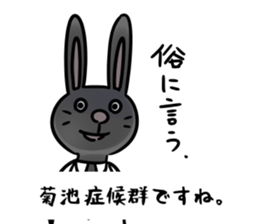 BlackRabbit(kikuchi) sticker #13164601