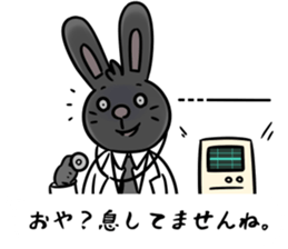 BlackRabbit(kikuchi) sticker #13164613