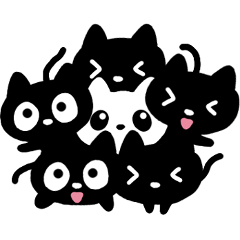 Black cats and white cat