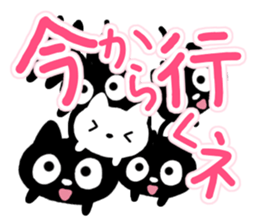 Black cats and white cat sticker #13165894