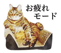 funny animals stickers2 sticker #13166770