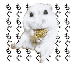 funny animals stickers2 sticker #13166780