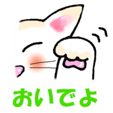 Cat pad punipuni sticker #13166937
