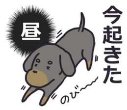 Slightly impertinent dog sticker #13167654