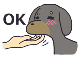 Slightly impertinent dog sticker #13167658