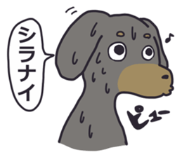 Slightly impertinent dog sticker #13167664