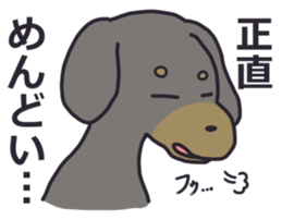 Slightly impertinent dog sticker #13167666
