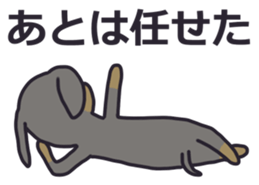 Slightly impertinent dog sticker #13167667