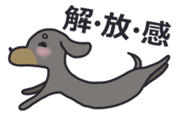 Slightly impertinent dog sticker #13167668