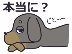 Slightly impertinent dog sticker #13167672