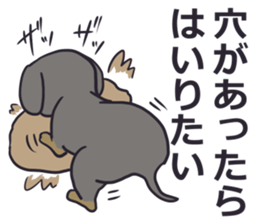 Slightly impertinent dog sticker #13167688