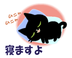 Small, obliging, black cat.2 sticker #13168013