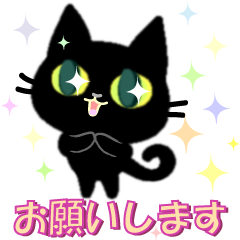 Small, obliging, black cat.2