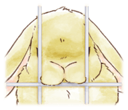 Not a dog, I'm a rabbit! sticker #13172705