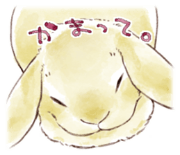 Not a dog, I'm a rabbit! sticker #13172734