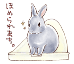 Not a dog, I'm a rabbit! sticker #13172740