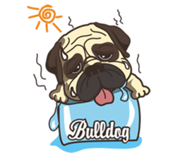 Warning security dog_Bulldog LA LA sticker #13173664