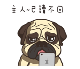 Warning security dog_Bulldog LA LA sticker #13173672