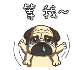 Warning security dog_Bulldog LA LA sticker #13173678