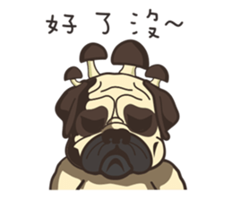 Warning security dog_Bulldog LA LA sticker #13173681