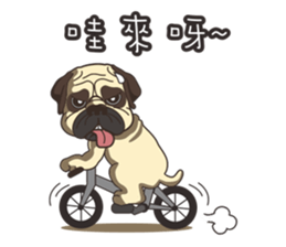 Warning security dog_Bulldog LA LA sticker #13173685