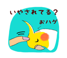 Parakeet owner 2 sticker #13183496