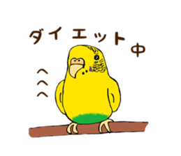 Parakeet owner 2 sticker #13183519