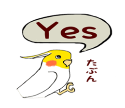 Parakeet owner 2 sticker #13183520