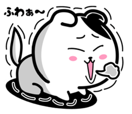 Very Very strange cat sticker #13186284