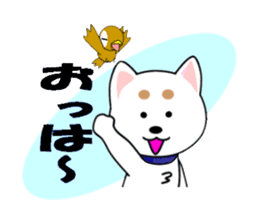 White of our house dog sticker #13186489