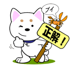 White of our house dog sticker #13186490