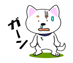 White of our house dog sticker #13186496