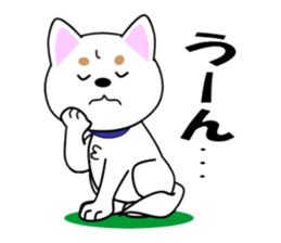 White of our house dog sticker #13186497