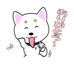 White of our house dog sticker #13186507