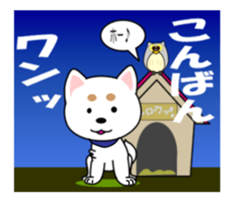 White of our house dog sticker #13186523