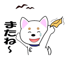 White of our house dog sticker #13186525