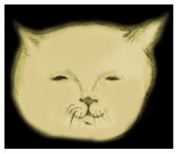 IEDERACCO and HENTEKO 2 active sticker #13186762