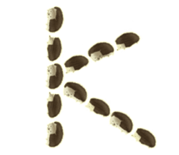 IEDERACCO and HENTEKO 2 active sticker #13186773