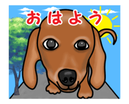 Small move Dachshund sticker #13186934