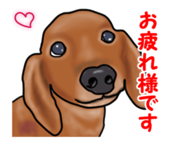 Small move Dachshund sticker #13186936