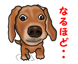 Small move Dachshund sticker #13186944
