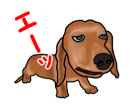 Small move Dachshund sticker #13186945