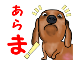 Small move Dachshund sticker #13186947