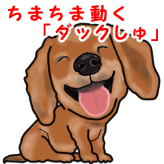 Small move Dachshund