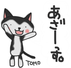 Cat sticker of TOMO sticker #13187171