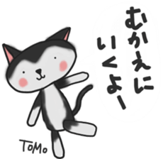 Cat sticker of TOMO sticker #13187178