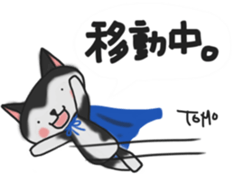 Cat sticker of TOMO sticker #13187179